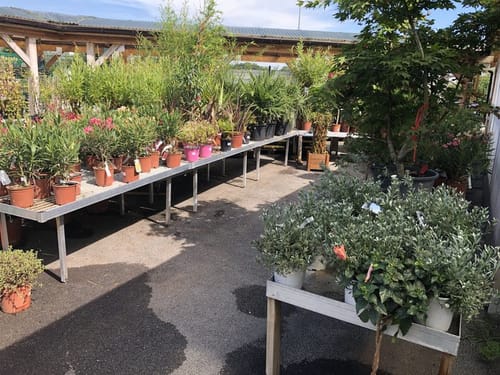 Espace extérieur de la jardinerie